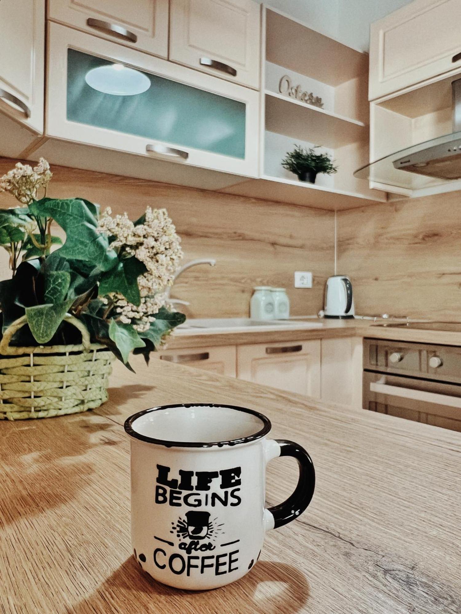 Cozy Rooftop Apartment - Your Home, Away From Home! Tirana Kültér fotó